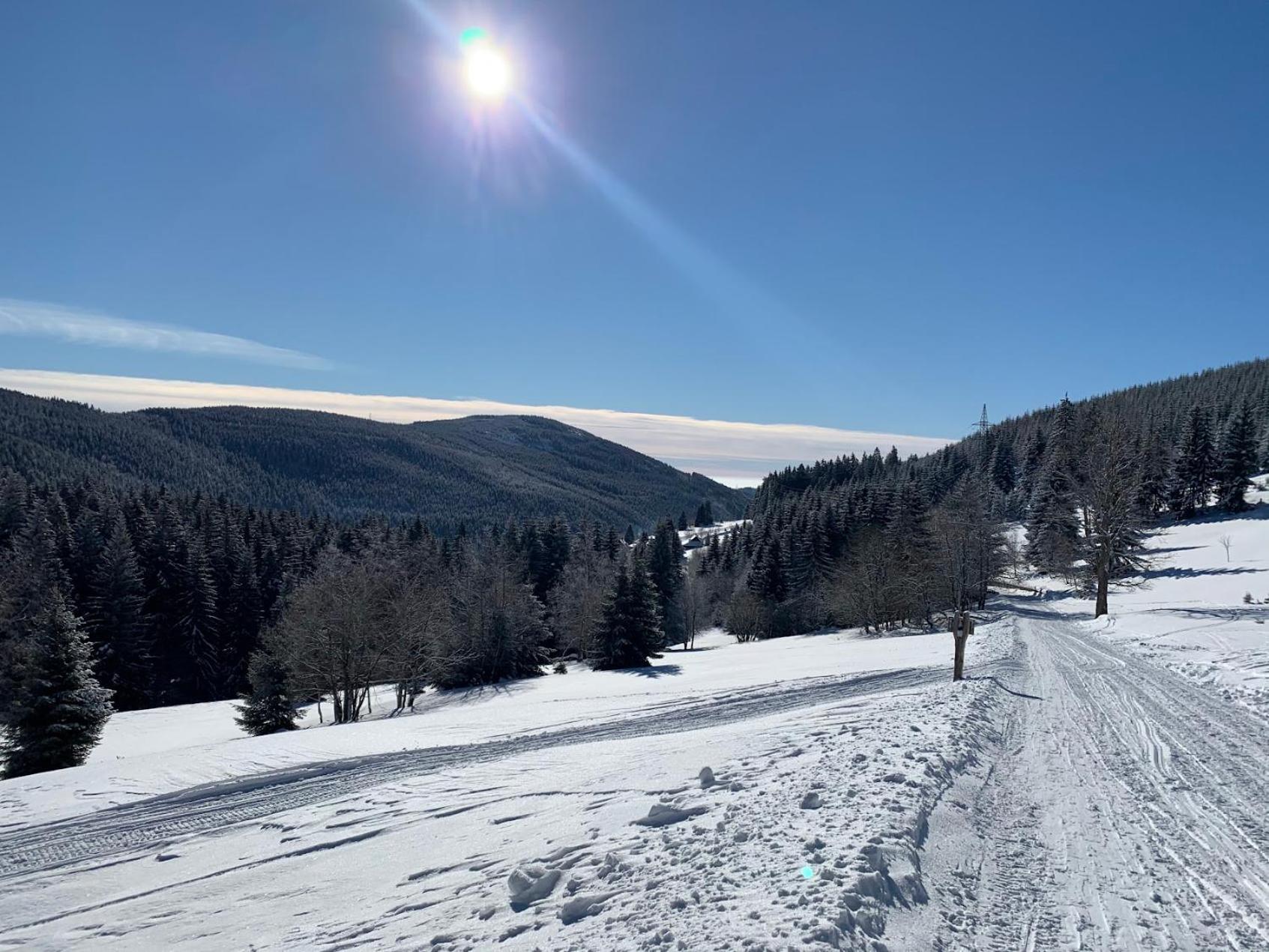 Apartmany Pro Rodiny S Detmi - Permonik Dolní Malá Úpa Exteriér fotografie